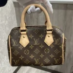 ルイヴィトン　ナノスピーディ　モノグラム